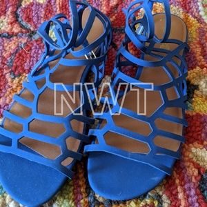 Kobalt Blue Sandals 💙